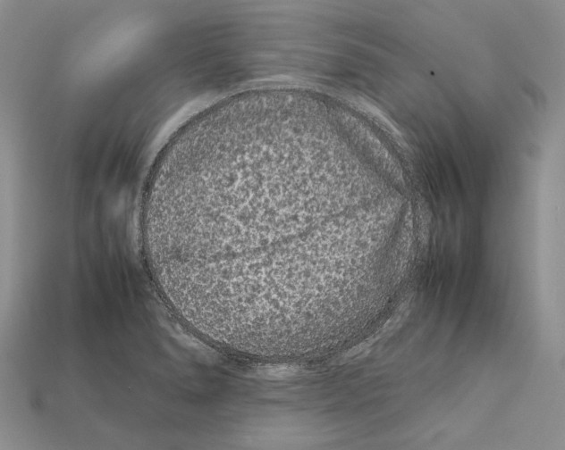 X0000112211278200909181546