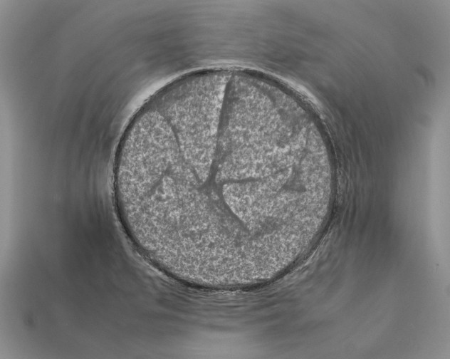 X0000112211279200909181546