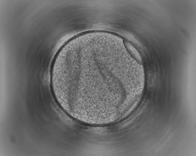 X0000112211280200909181546