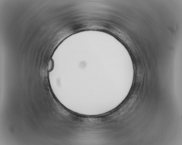 X0000112211281200909181546
