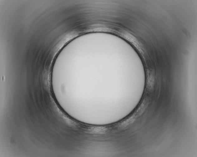 X0000112211282200909181546