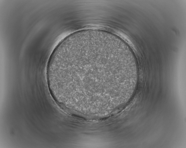 X0000112211283200909181546