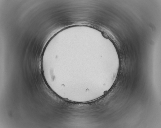 X0000112211284200909181546