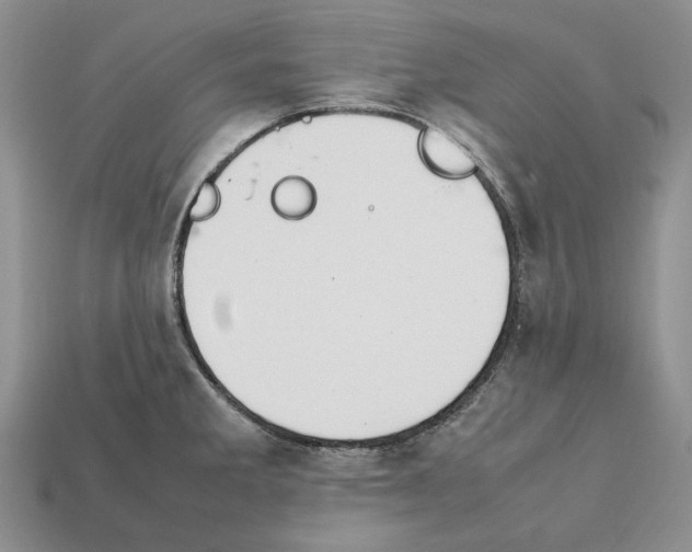 X0000112211285200909181546