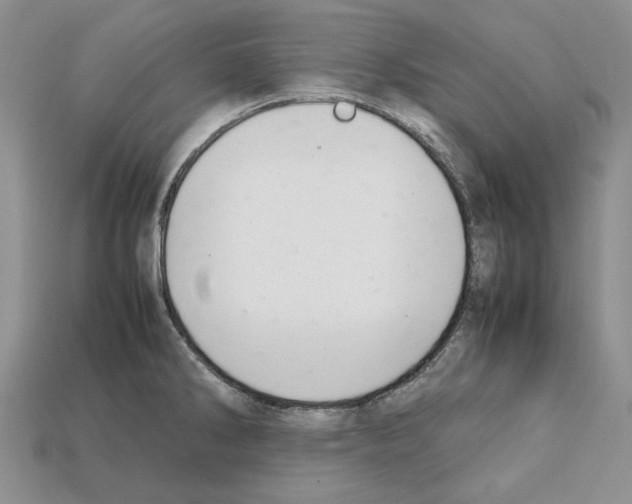 X0000112211286200909181546