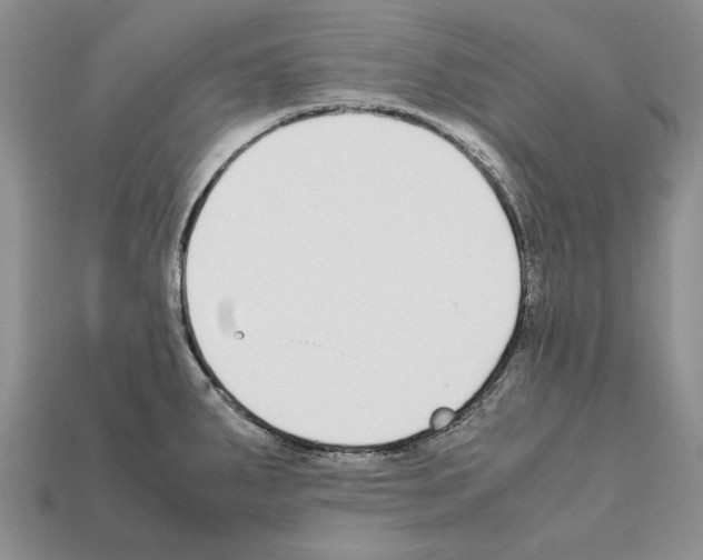 X0000112211287200909181546