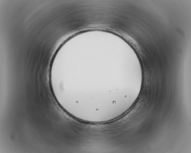 X0000112211288200909181546