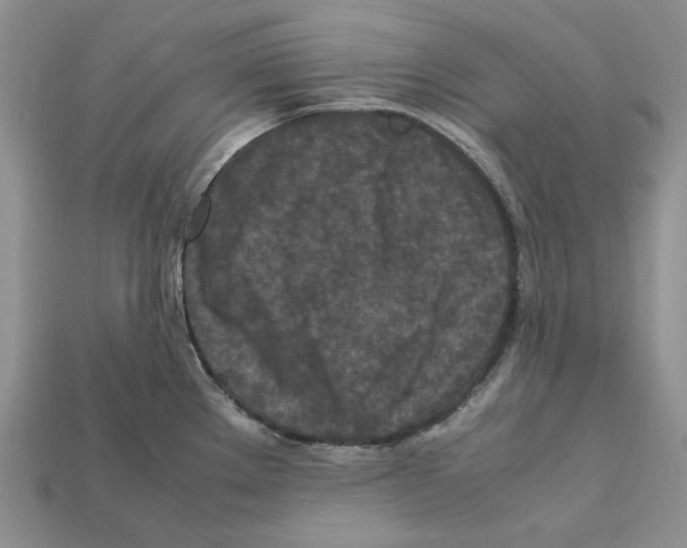 X0000112211289200909181546