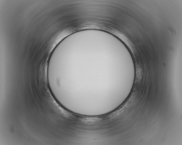 X0000112211290200909181546