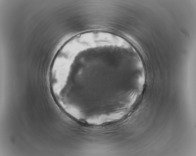 X0000112211291200909181546
