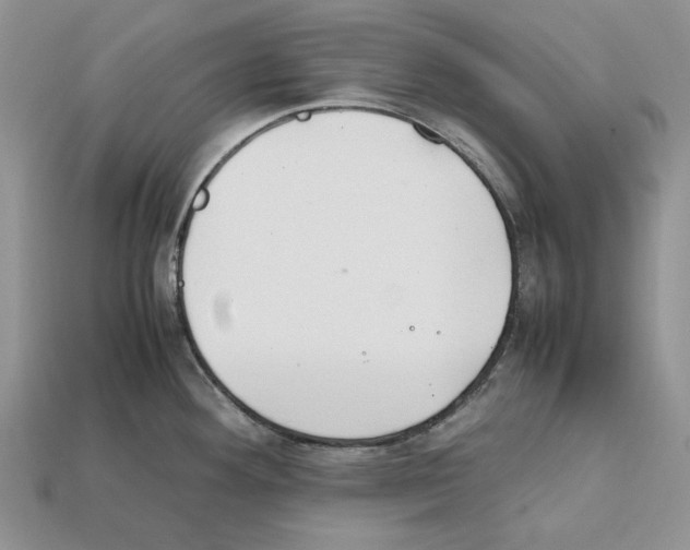 X0000112211292200909181546
