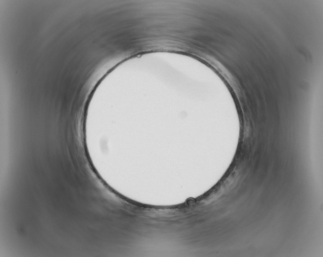 X0000112211293200909181546