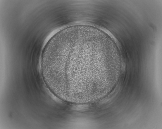 X0000112211294200909181546