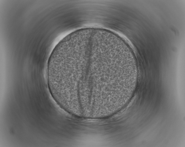 X0000112211295200909181546
