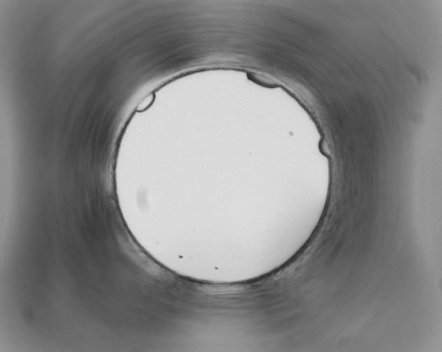 X0000112211296200909181546