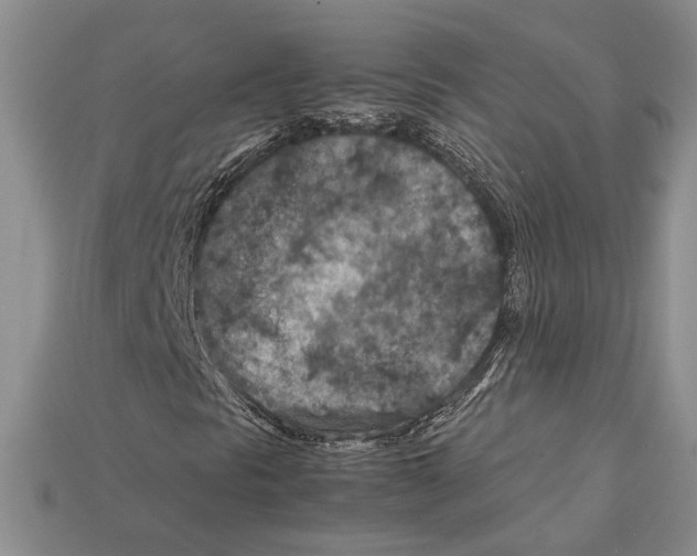 X0000112211297200909181545