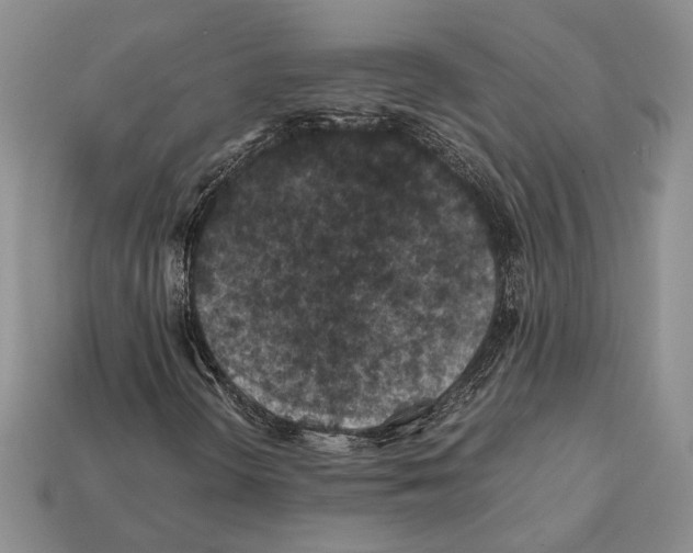X0000112211298200909181545