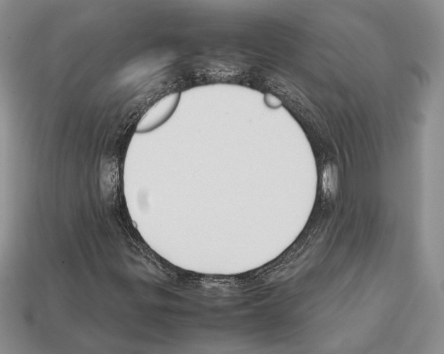 X0000112211299200909181545