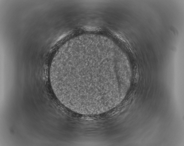 X0000112211301200909181545