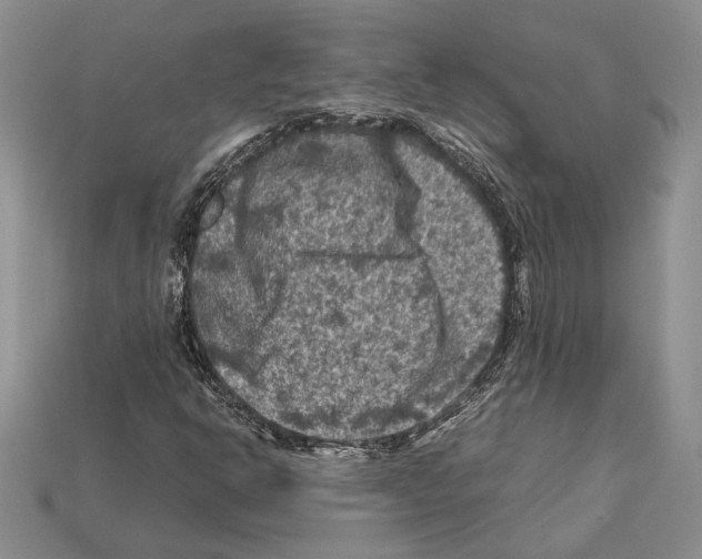 X0000112211302200909181545