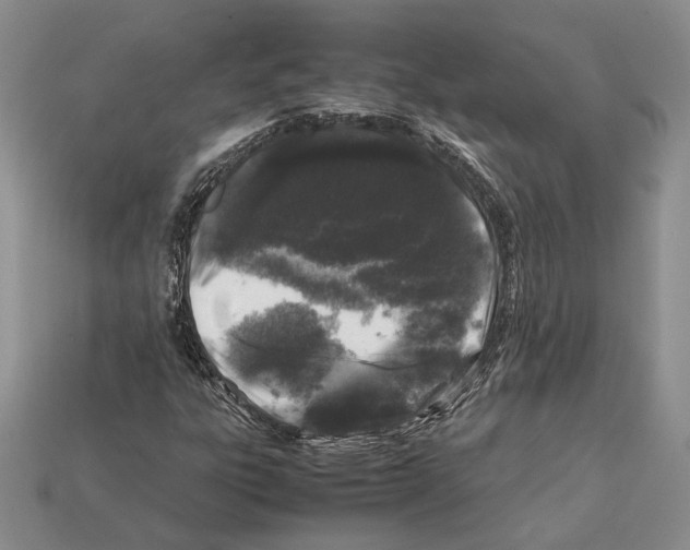 X0000112211303200909181545