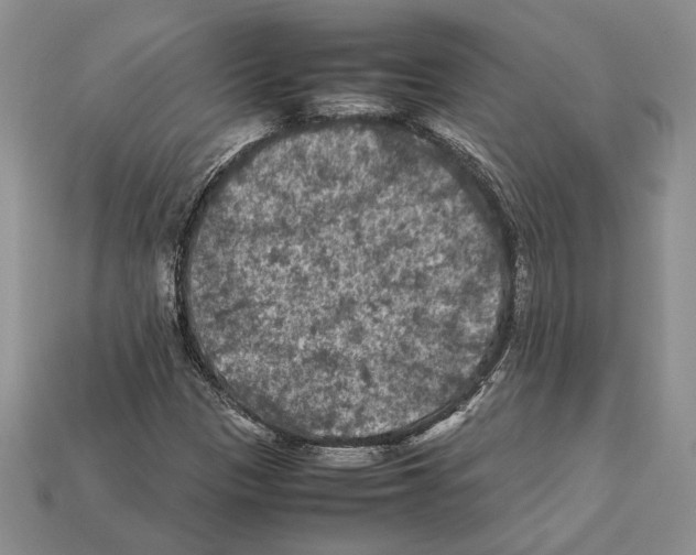 X0000112211305200909181545