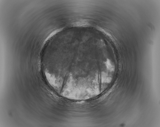 X0000112211306200909181545