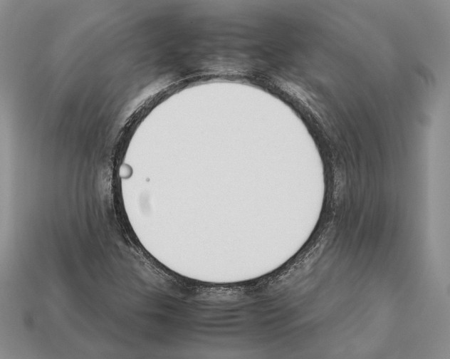X0000112211307200909181545