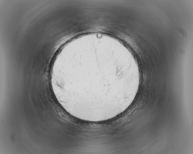 X0000112211308200909181545