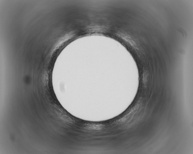 X0000112211309200909181545