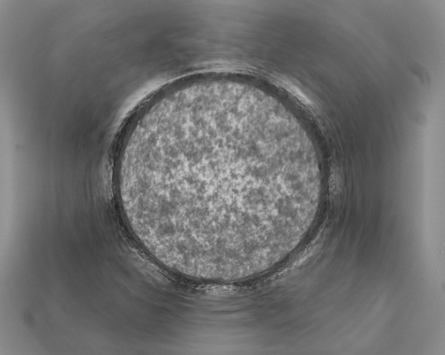 X0000112211310200909181545