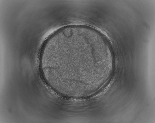 X0000112211311200909181545