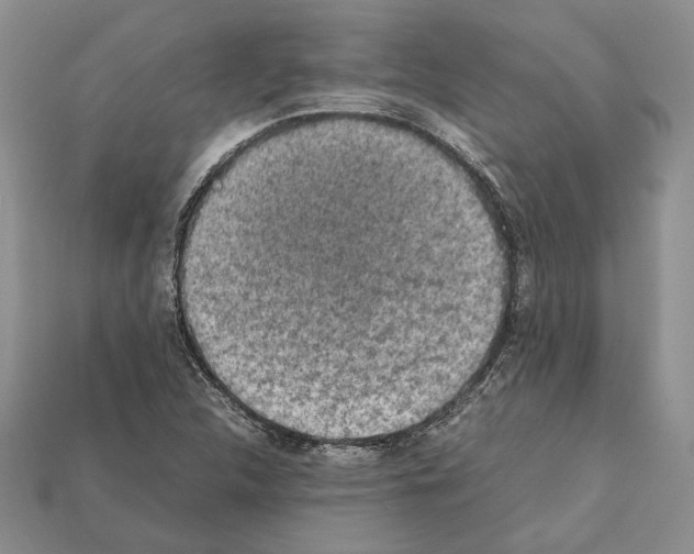 X0000112211312200909181546