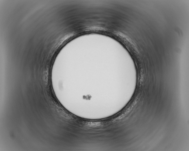 X0000112211313200909181546