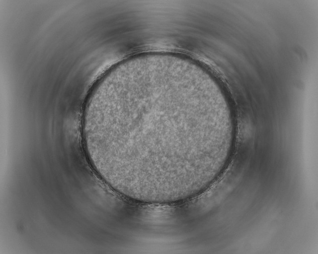 X0000112211314200909181546