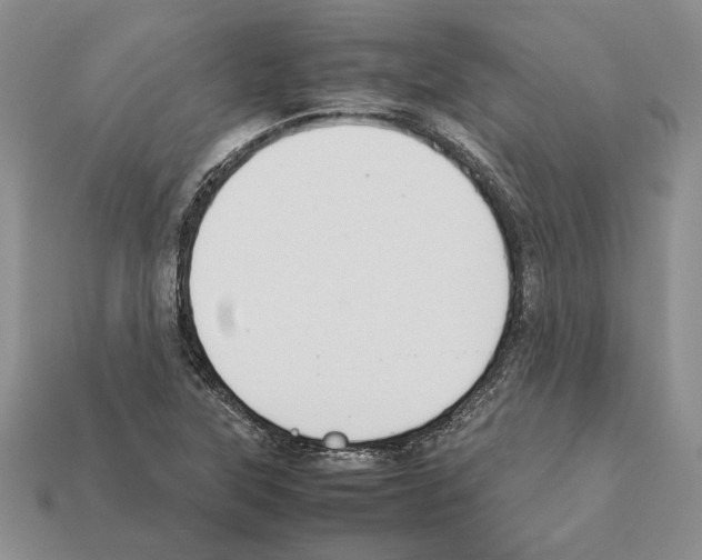 X0000112211315200909181546