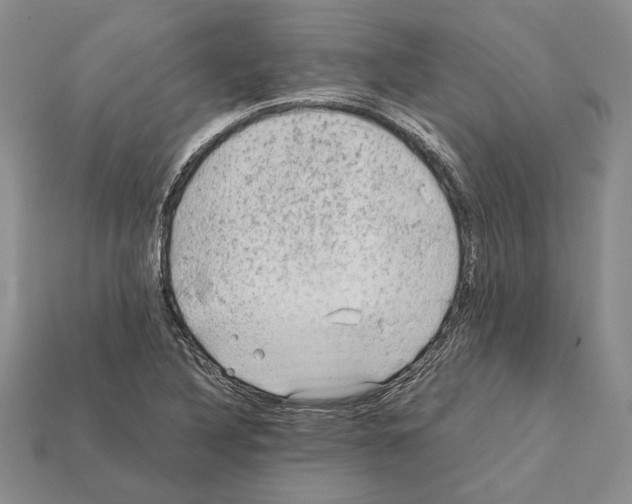 X0000112211316200909181546