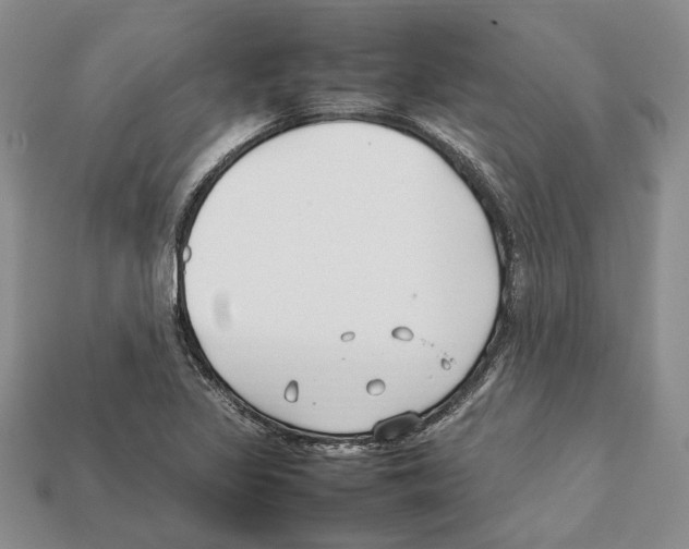 X0000112211317200909181546