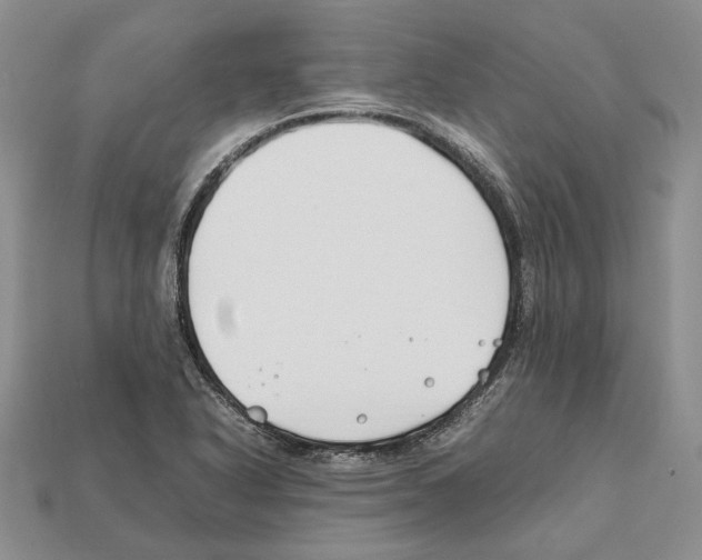 X0000112211318200909181546