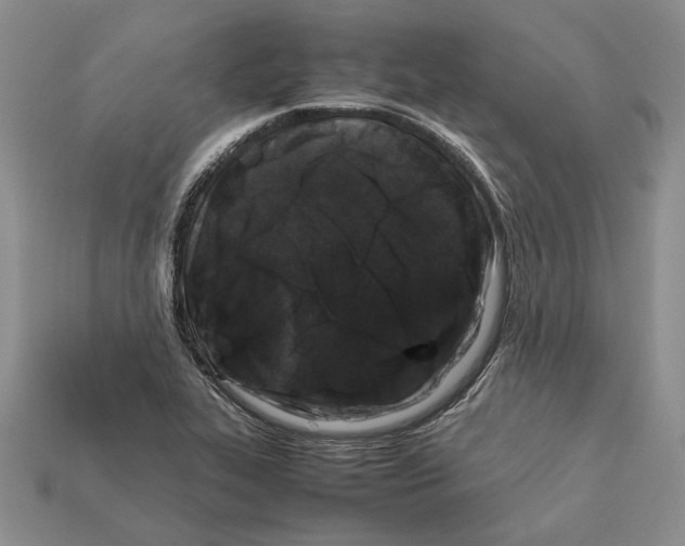 X0000112211319200909181546