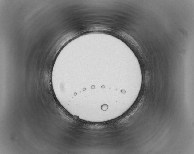 X0000112211321200909181546