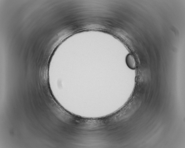 X0000112211322200909181546