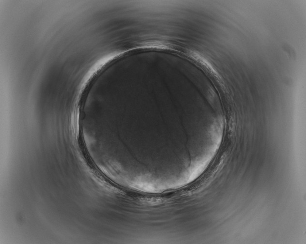 X0000112211323200909181546