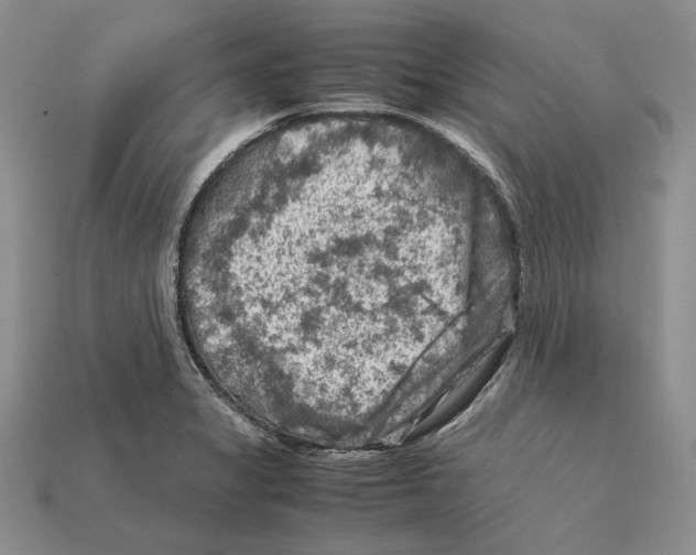 X0000112211325200909181546