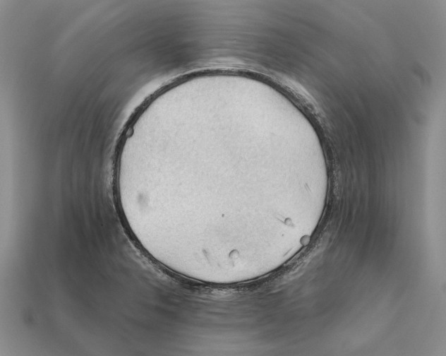 X0000112211326200909181546