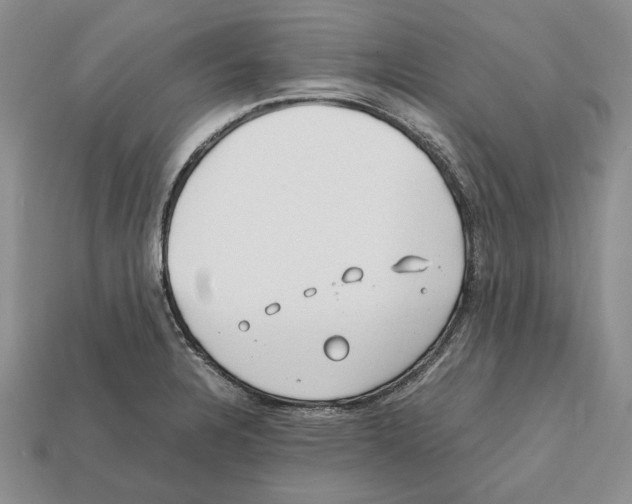 X0000112211328200909181546