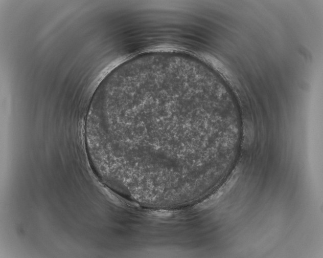 X0000112211329200909181546