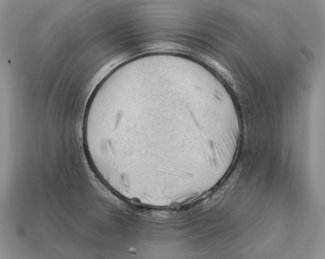 X0000112211330200909181546