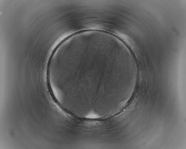 X0000112211331200909181546