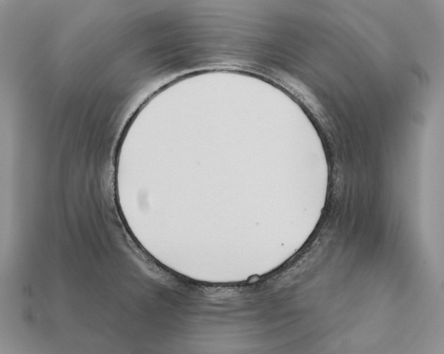 X0000112211332200909181546